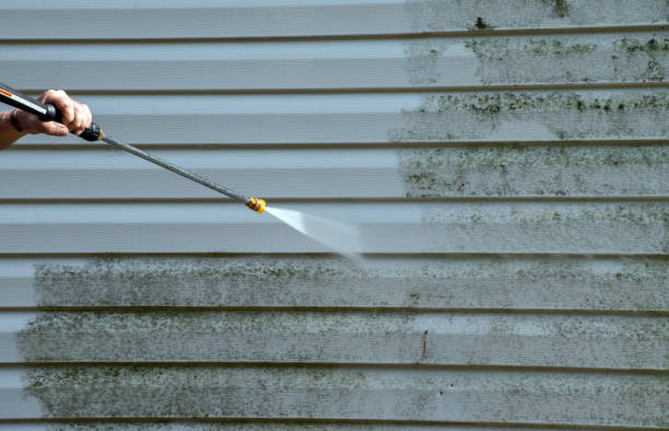 Best Roof Power Washing Services  in Clay City, KY